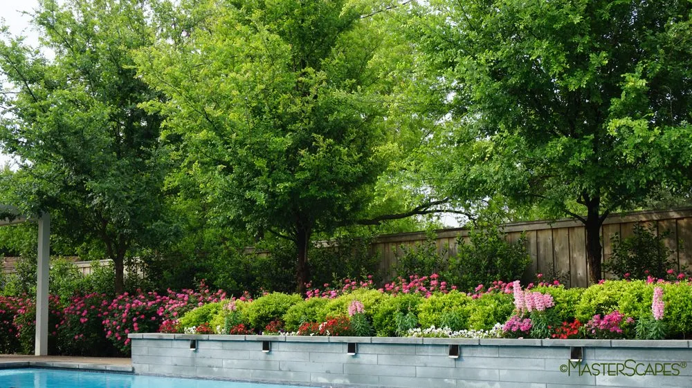 Top-rated lawn mowing service for residential properties across Abilene, TX - MasterScapes - Abilene