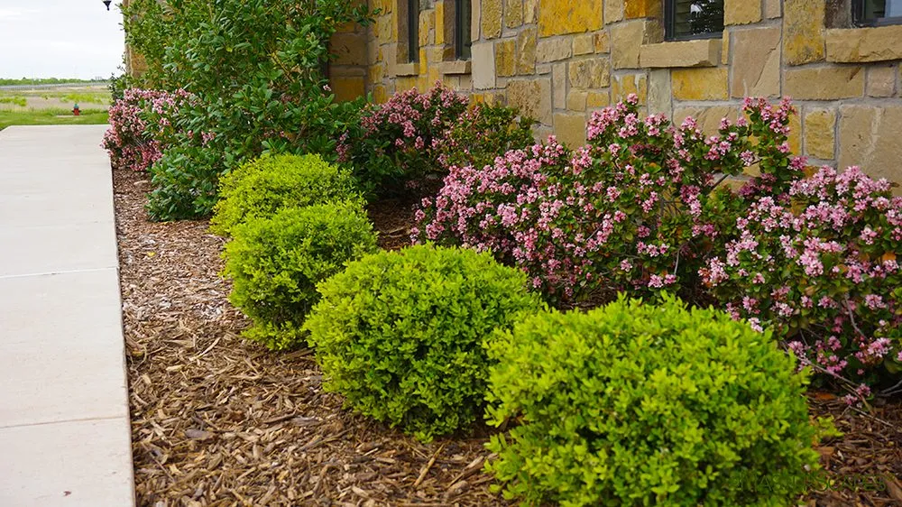 Affordable yard cleanup service experts serving Abilene, TX - MasterScapes - Abilene