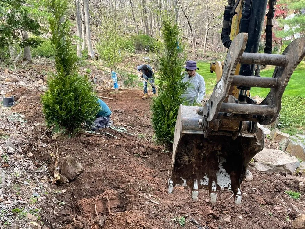 Trusted lawn care service for beautiful yards across Boonton, NJ - Mastership Landscaping & Construction