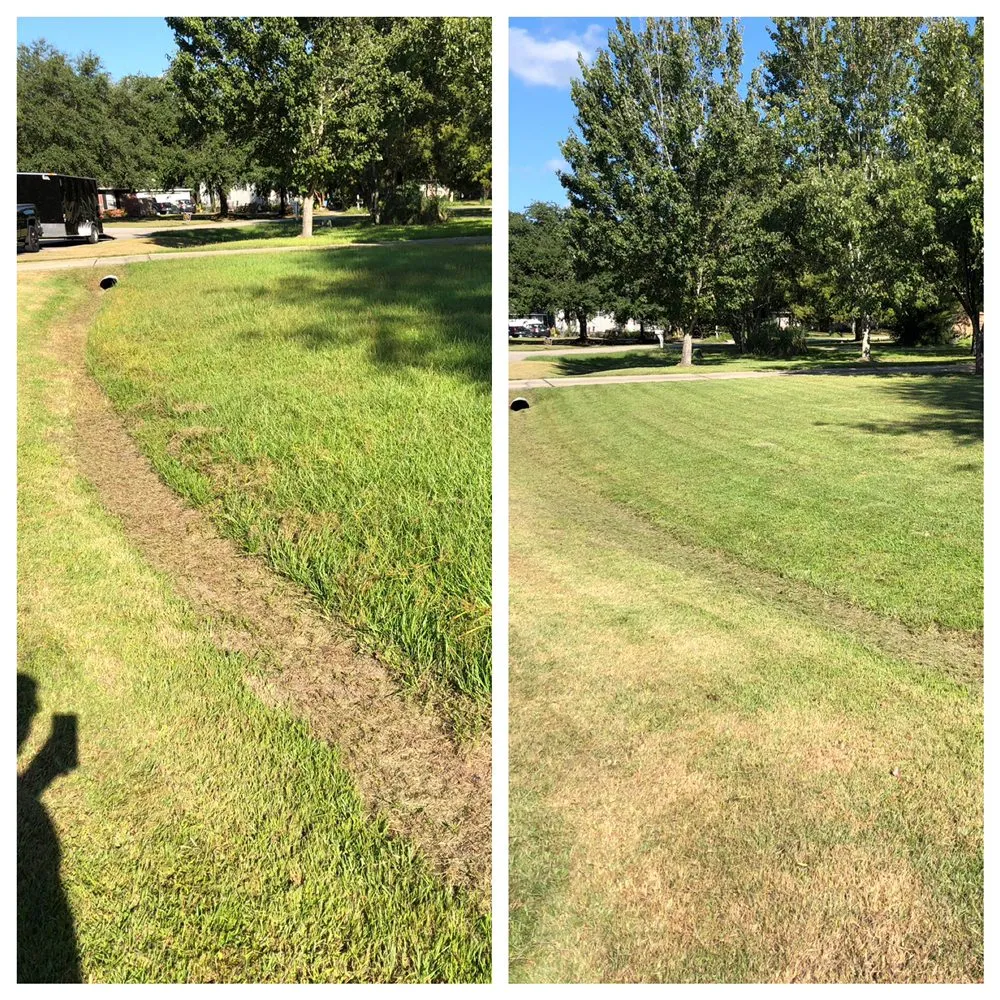 Affordable outdoor landscaping for year-round maintenance in Mandeville, LA by Masterson Mowing