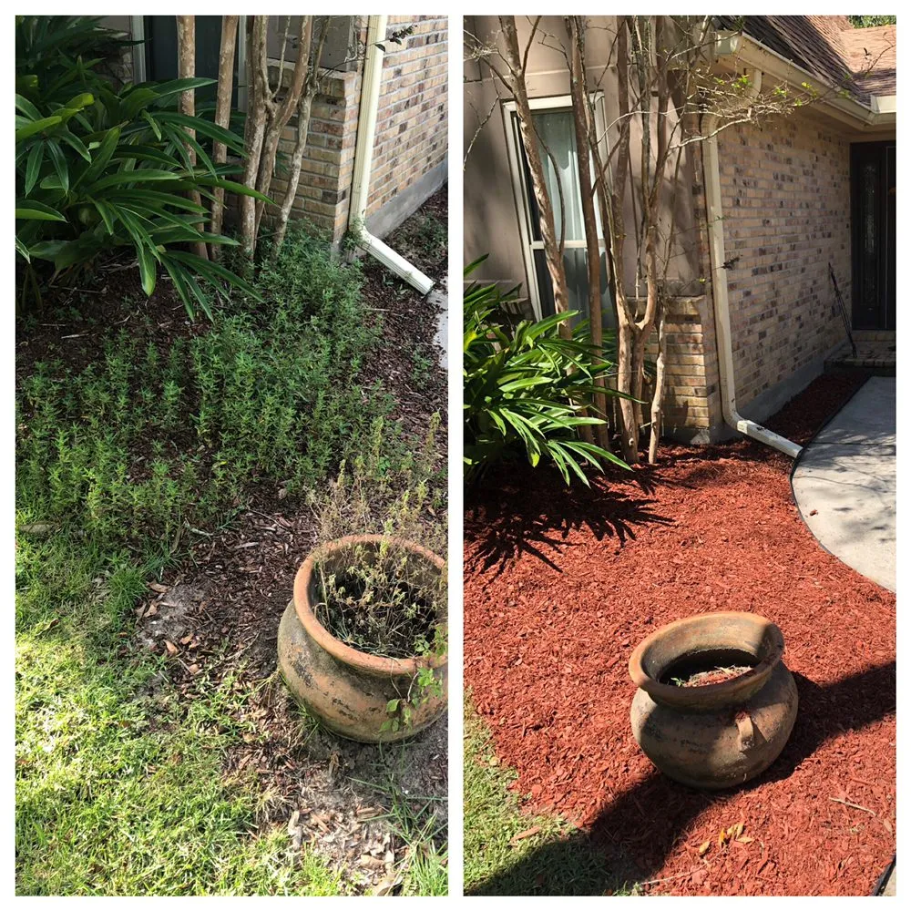 Professional outdoor landscaping in Mandeville, LA - Masterson Mowing