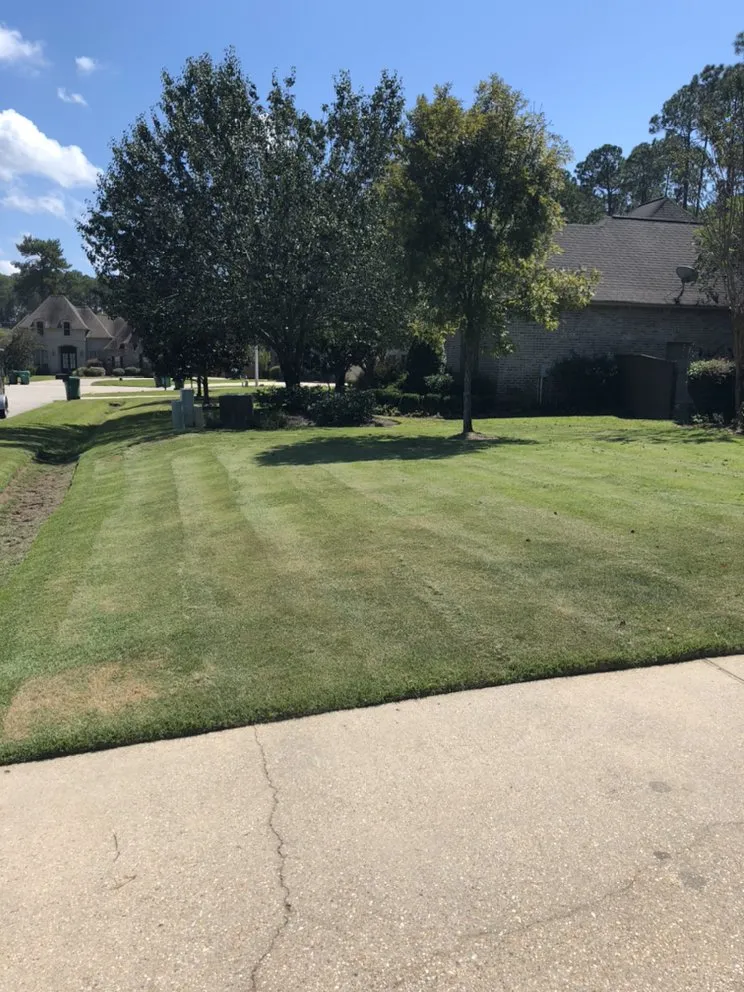 Custom landscaping services for year-round maintenance in Mandeville, LA by Masterson Mowing