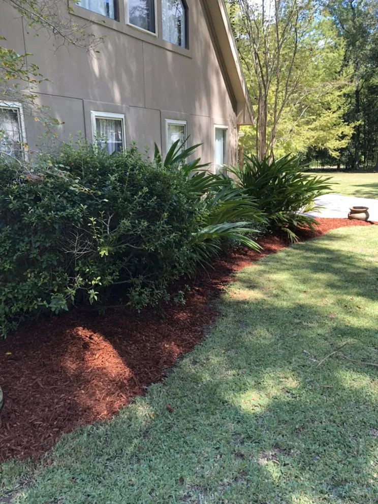 Trusted yard cleanup service experts serving Mandeville, LA - Masterson Mowing