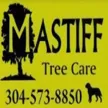 Reliable yard cleanup service in Daniels, WV - Mastiff Lawn & Tree Care