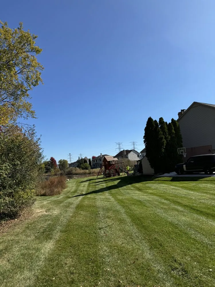 Reliable yard cleanup service experts serving Canton, MI - Mastin Outdoor Solutions