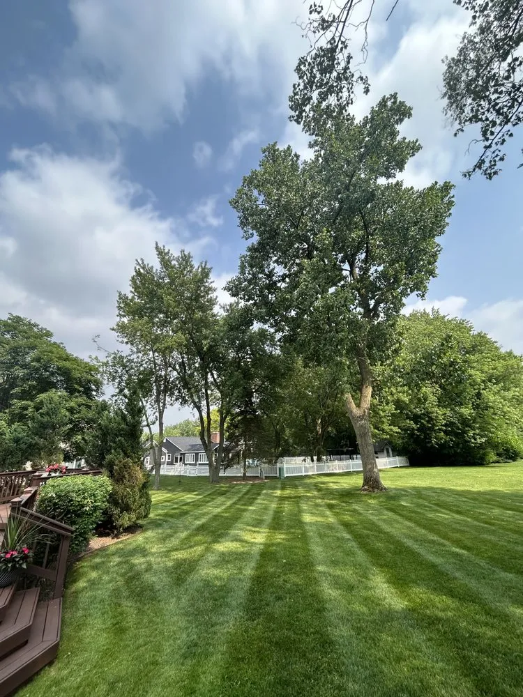 Trusted yard cleanup service with custom design in Canton, MI by Mastin Outdoor Solutions