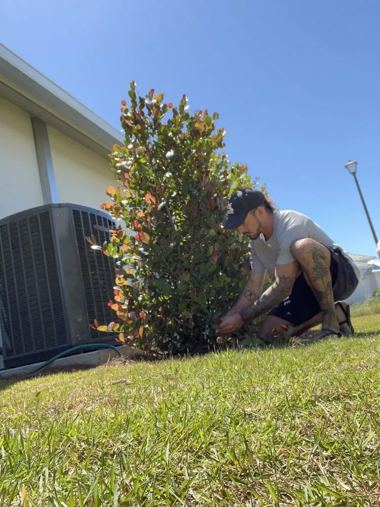 Professional lawn care service in Monaca, PA - Mastrangelo Honey Do List