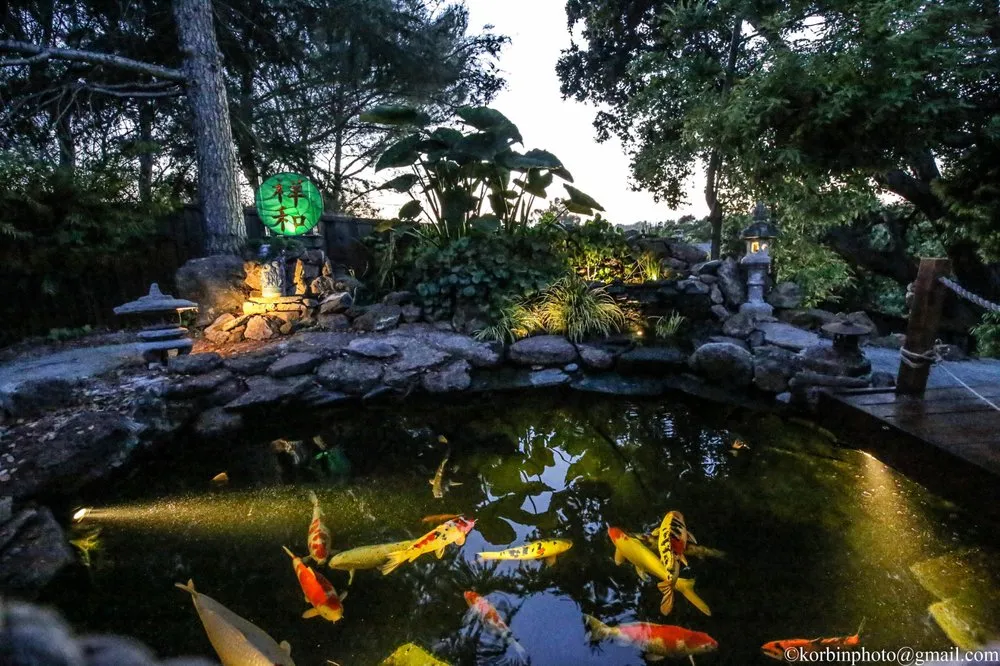 Top-rated landscape installation with custom design across Hayward, CA - Masuko Landscaping