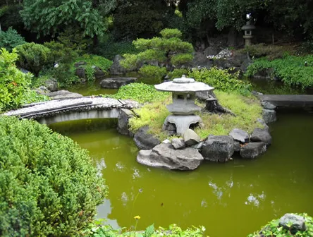 Local landscape installation experts serving Hayward, CA - Masuko Landscaping