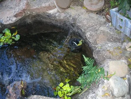 Top-rated landscape design for residential properties across Hayward, CA - Masuko Landscaping