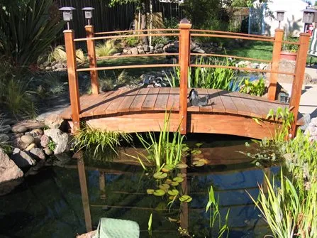 Professional residential landscaping for beautiful yards in Hayward, CA by Masuko Landscaping