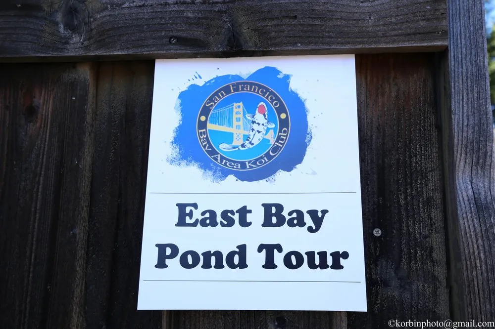 Top-rated yard maintenance experts serving Hayward, CA - Masuko Landscaping