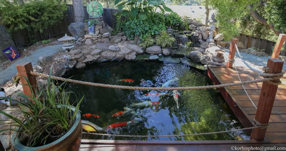 Professional outdoor landscaping with custom design in Hayward, CA by Masuko Landscaping