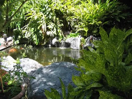 Professional garden landscaping for residential properties in Hayward, CA by Masuko Landscaping