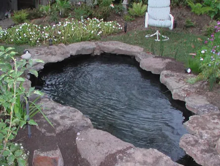 Top-rated lawn mowing service for year-round maintenance across Hayward, CA - Masuko Landscaping