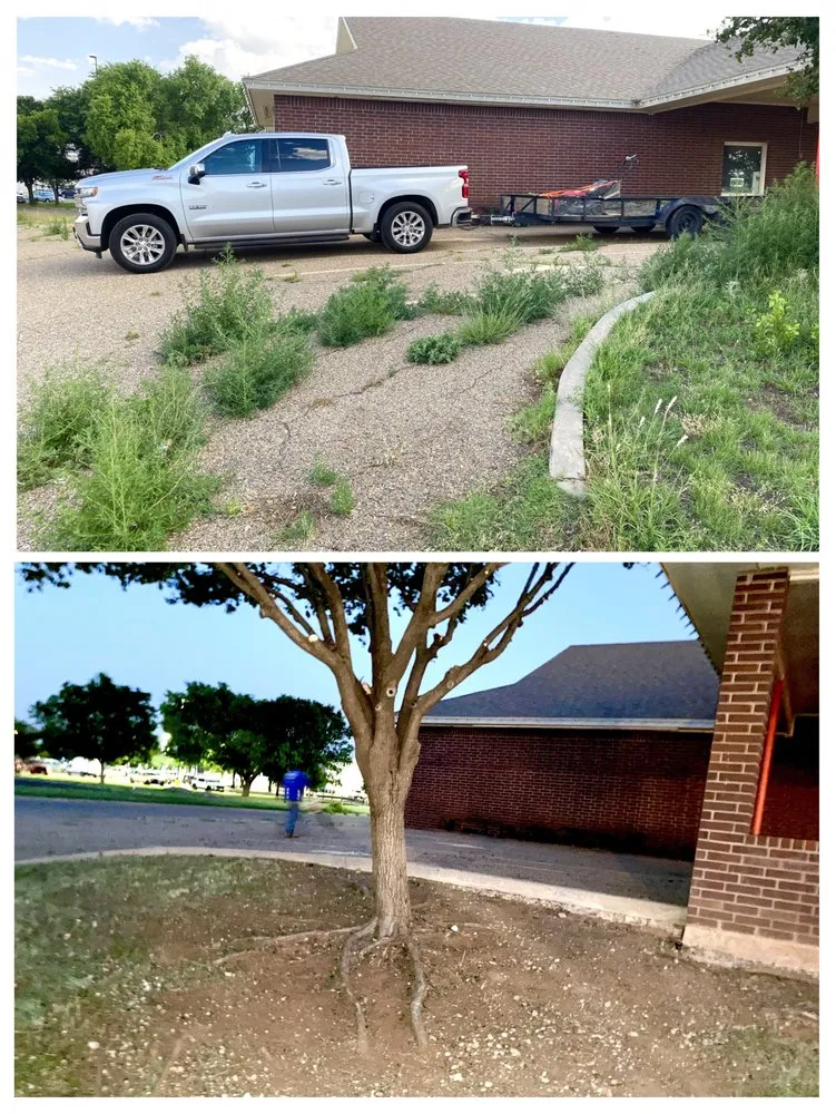 Local landscape design with custom design across Lamesa, TX - Mata & Son Landscaping & Tree Service