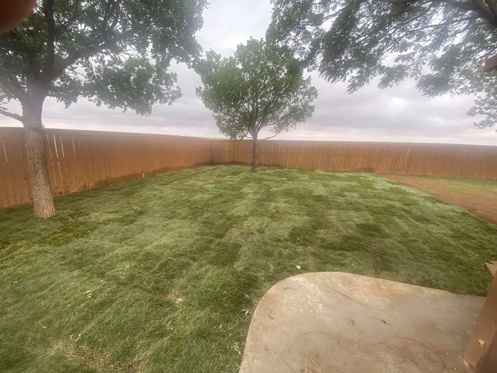 Local lawn care service experts serving Lamesa, TX - Mata & Son Landscaping & Tree Service