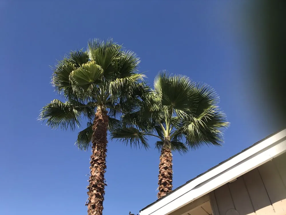 Custom landscaping services for homes in Muscoy, CA by Mata landscaping welding