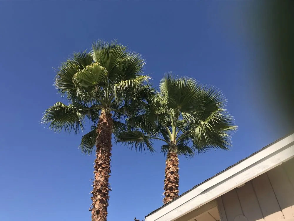 Expert landscape installation for residential properties in Muscoy, CA by Mata landscaping welding