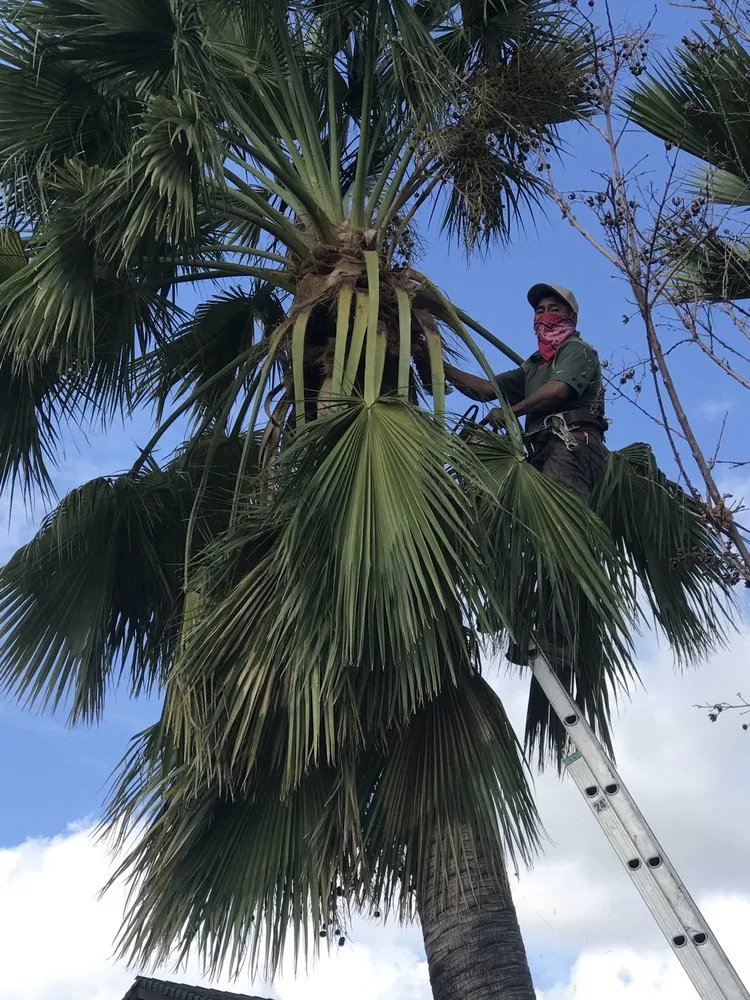 Trusted lawn mowing service for year-round maintenance across Muscoy, CA - Mata landscaping welding