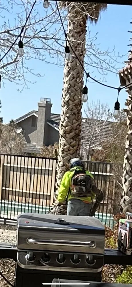 Professional lawn mowing service with custom design in Muscoy, CA by Mata landscaping welding