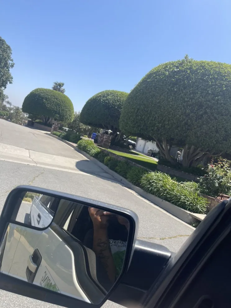 Expert lawn mowing service for residential properties in San Bernardino, CA by Mata Lawn & Maintenance