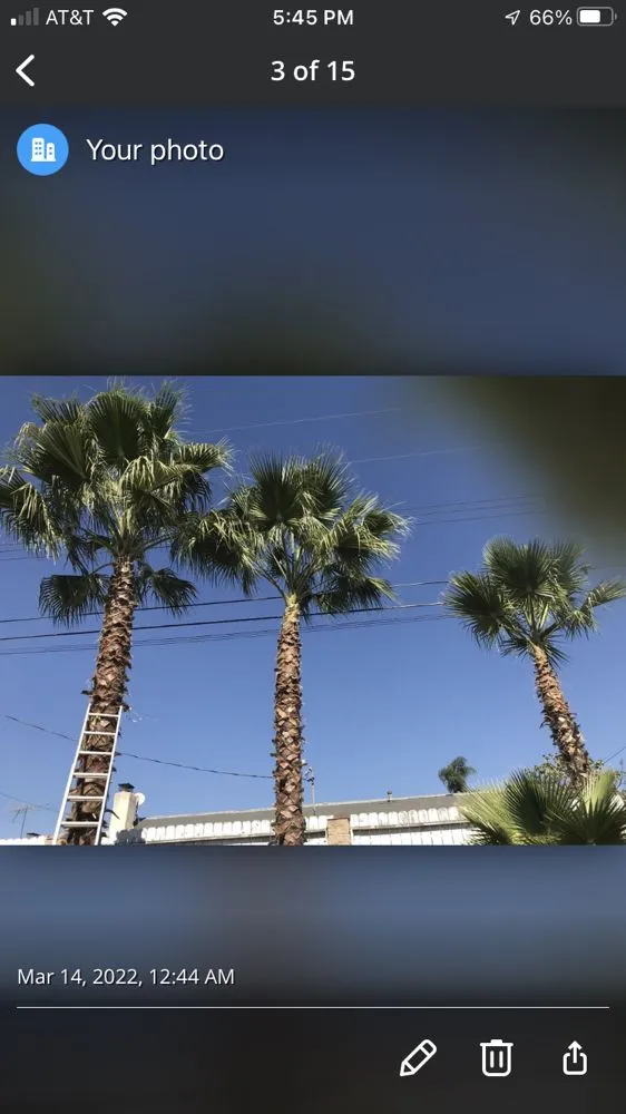 Local outdoor landscaping for homes across San Bernardino, CA - Mata Lawn & Maintenance