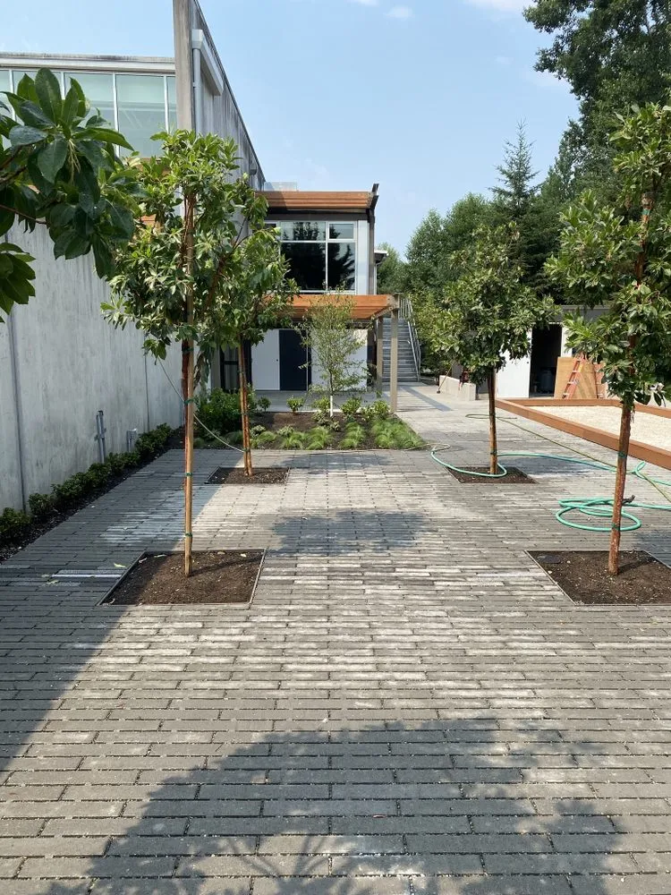 Local landscape installation for residential properties in Vista, CA by Matador Landscaping