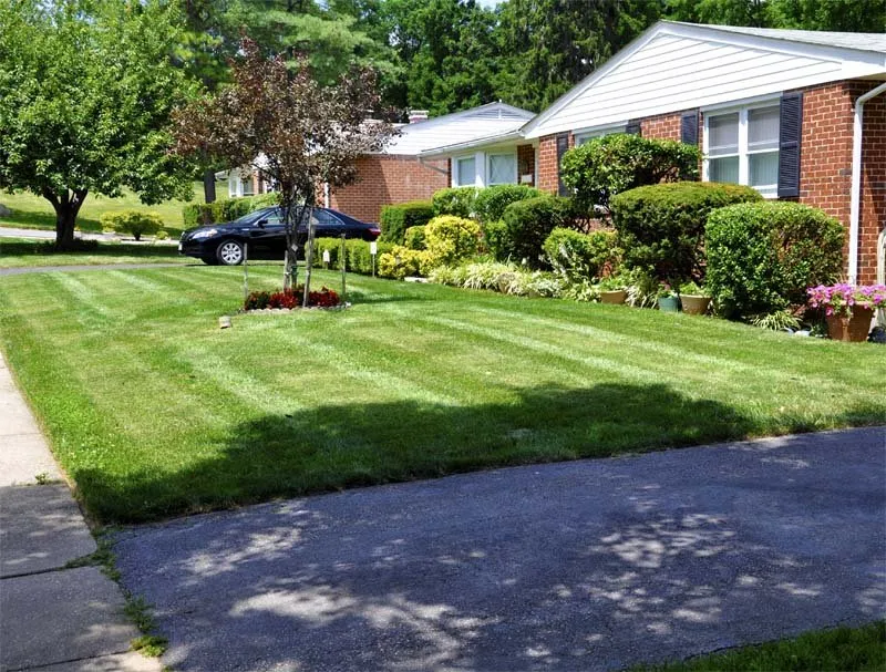 Expert yard maintenance in Austell, GA by Matador Lawn Care Service