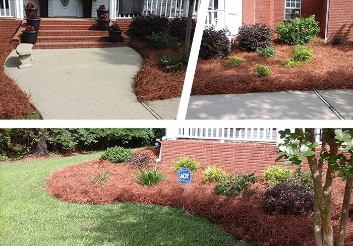 Expert lawn care service in Austell, GA by Matador Lawn Care Service