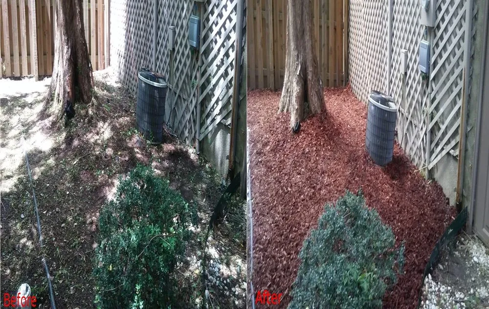 Top-rated yard cleanup service experts serving Austell, GA - Matador Lawn Care Service