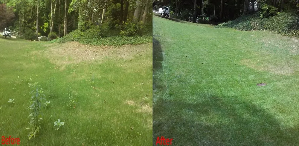 Custom yard maintenance experts serving Austell, GA - Matador Lawn Care Service