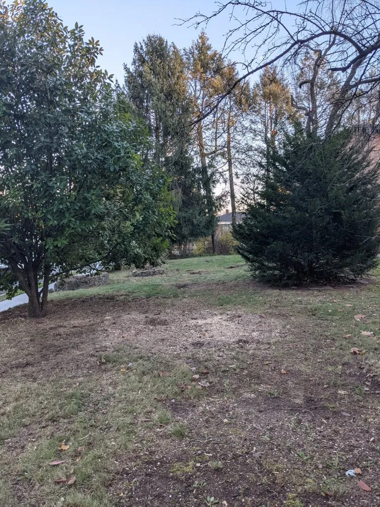 Trusted garden landscaping near you in Orange, NJ by Matamoros Tree Service & Landscaping