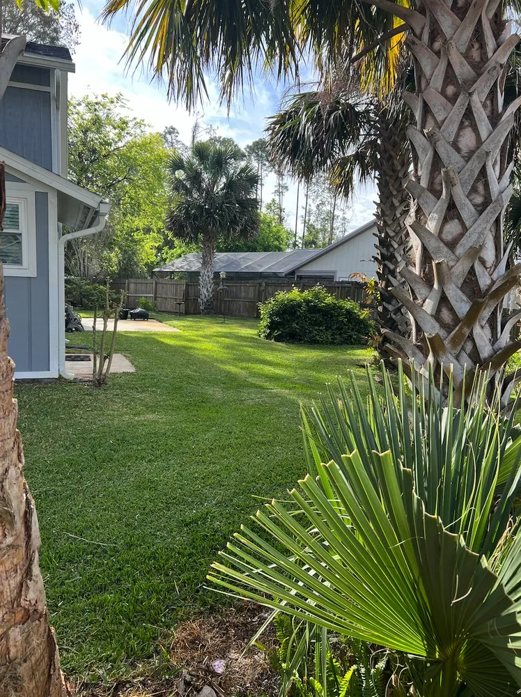 Professional landscape installation experts serving St. Augustine, FL - Matanzas Property Solutions