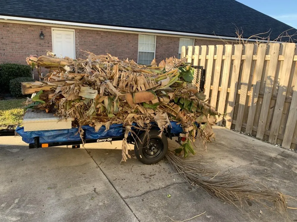 Expert landscaping services in St. Augustine, FL by Matanzas Property Solutions