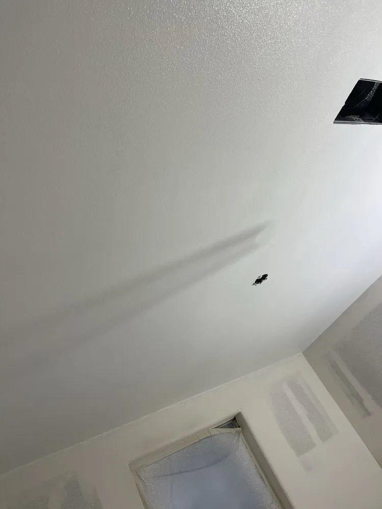 Custom yard maintenance experts serving Brownsville, TX - Matas Home Renovations