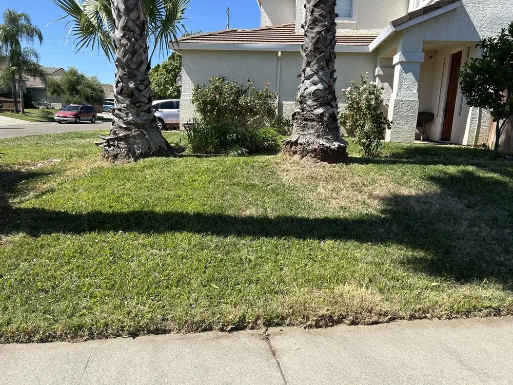 Local yard maintenance experts serving Antelope, CA - Mata’s Landscaping & Trash Removal