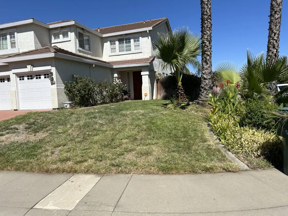 Affordable landscape installation near you in Antelope, CA by Mata’s Landscaping & Trash Removal