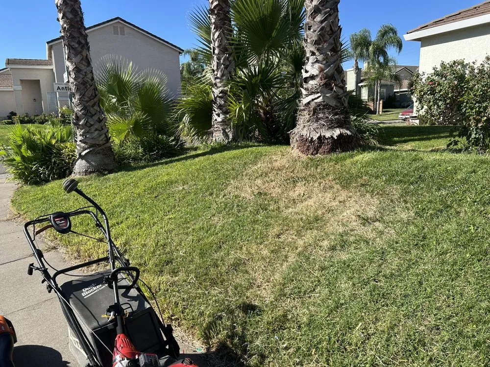 Affordable yard maintenance in Antelope, CA by Mata’s Landscaping & Trash Removal