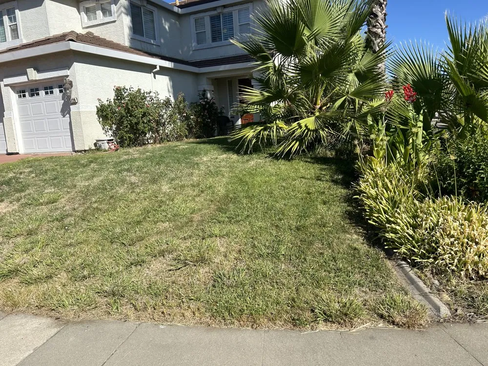 Reliable landscape installation for beautiful yards in Antelope, CA by Mata’s Landscaping & Trash Removal