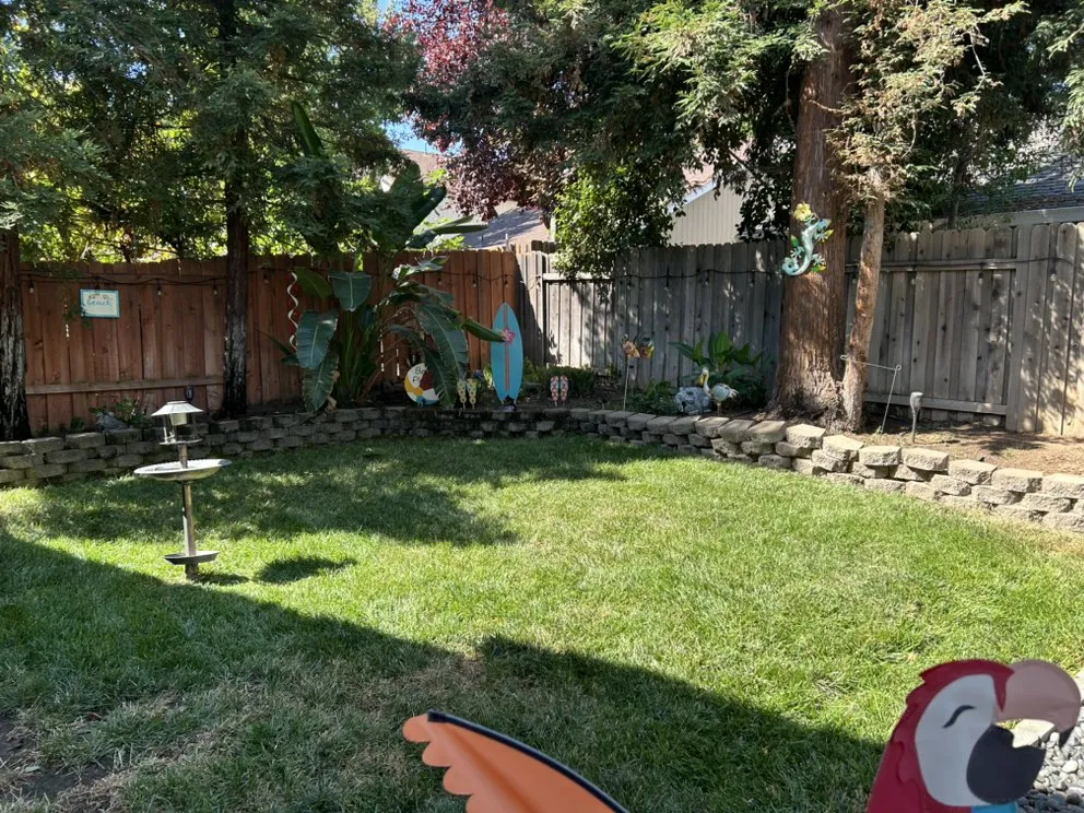 Top-rated outdoor landscaping in Antelope, CA by Mata’s Landscaping & Trash Removal