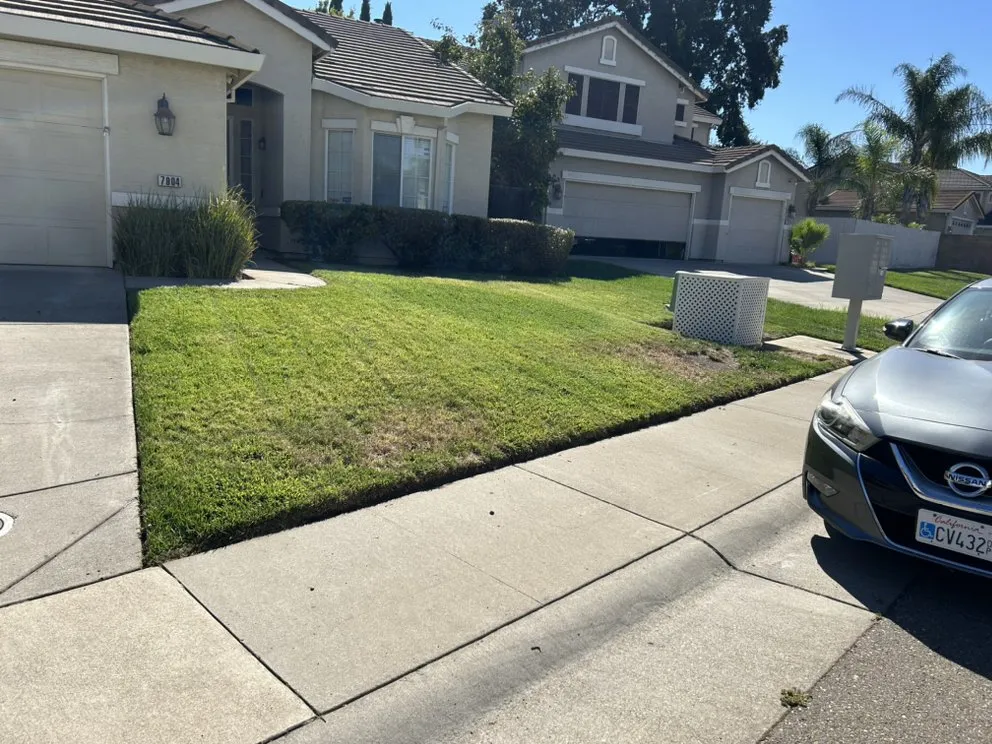 Expert yard cleanup service in Antelope, CA by Mata’s Landscaping & Trash Removal