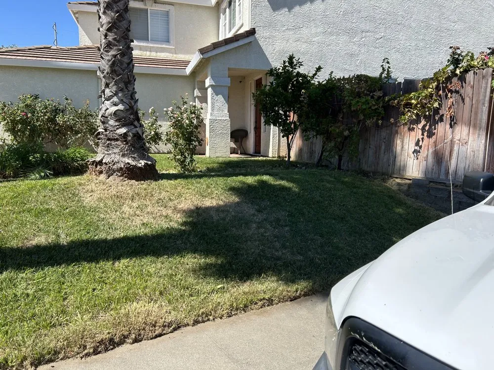 Trusted landscape design for year-round maintenance across Antelope, CA - Mata’s Landscaping & Trash Removal