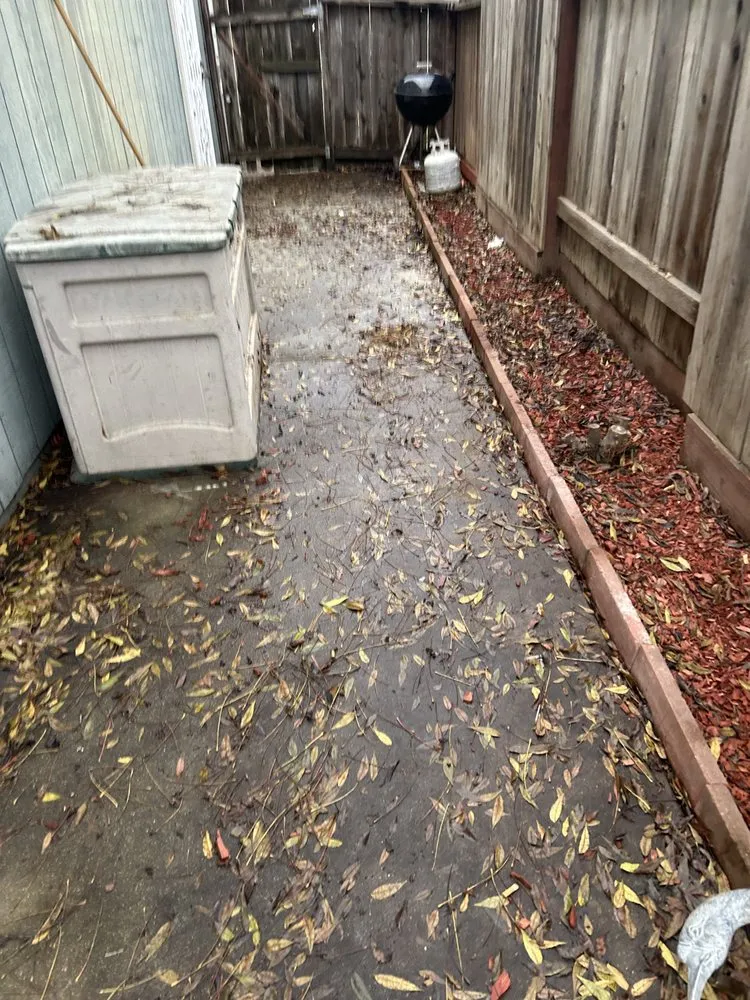 Professional yard maintenance near you across Antelope, CA - Mata’s Landscaping & Trash Removal