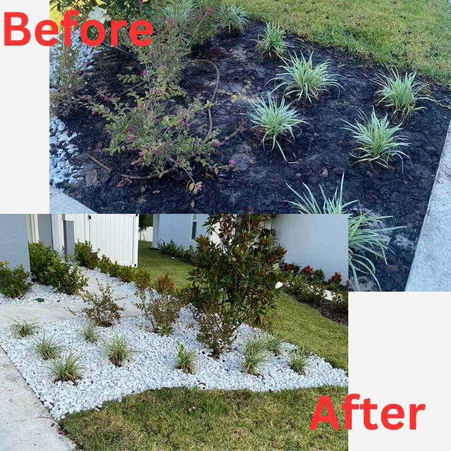 Reliable yard maintenance in Kissimmee, FL by Matdgrass