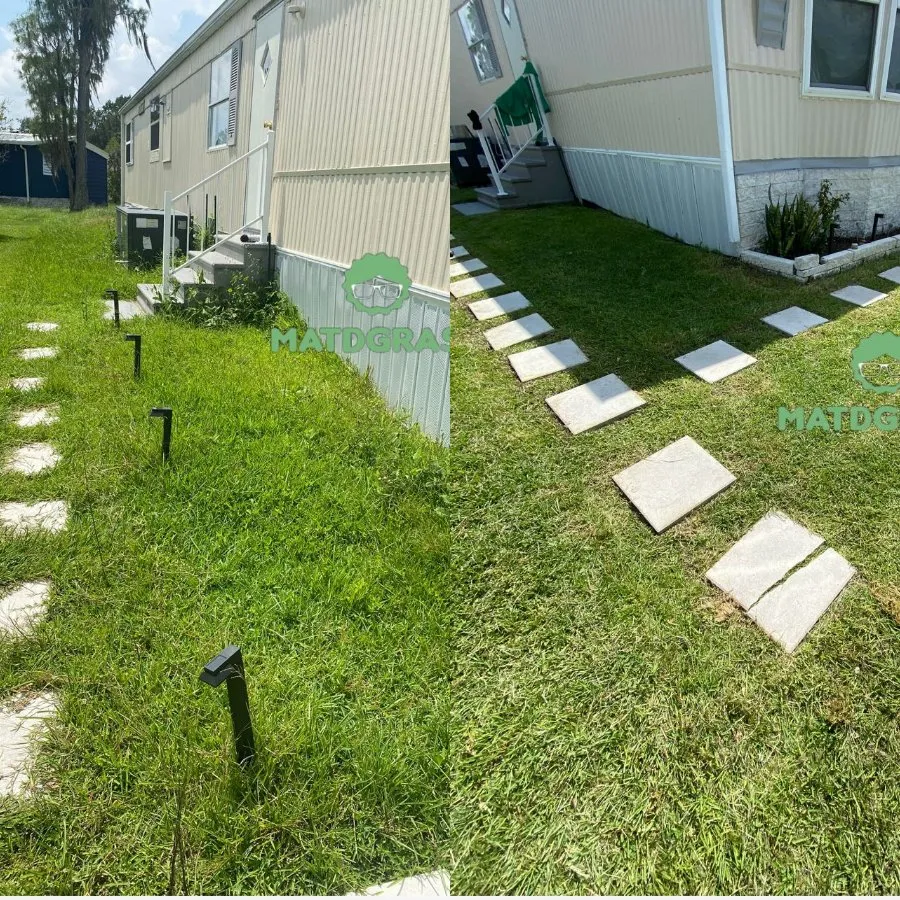 Top-rated yard maintenance in Kissimmee, FL - Matdgrass