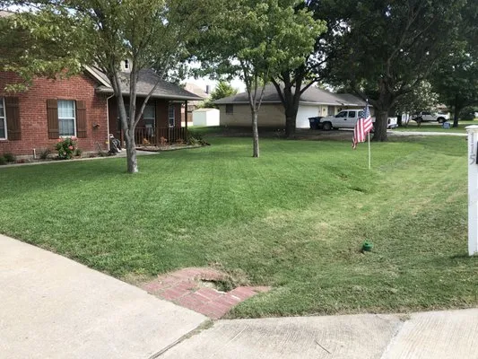 Matehuala Landscaping Logo