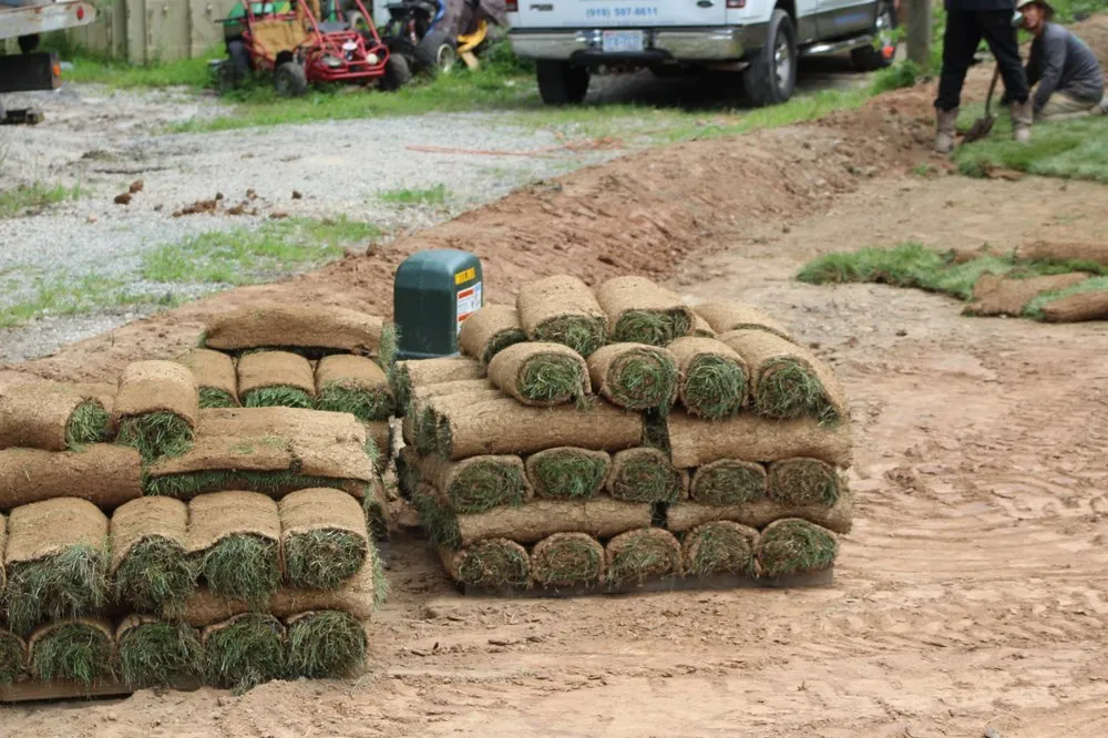 Local outdoor landscaping for beautiful yards in Raleigh, NC by MATEM Landscaping and Construction