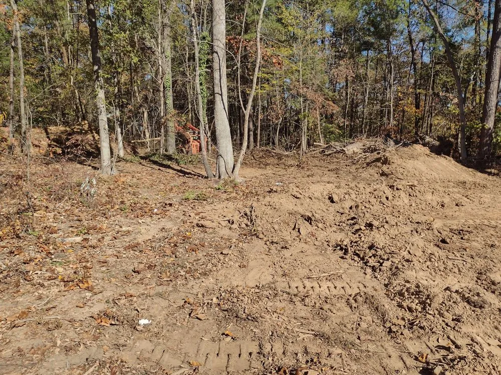 Custom yard cleanup service experts serving Raleigh, NC - MATEM Landscaping and Construction