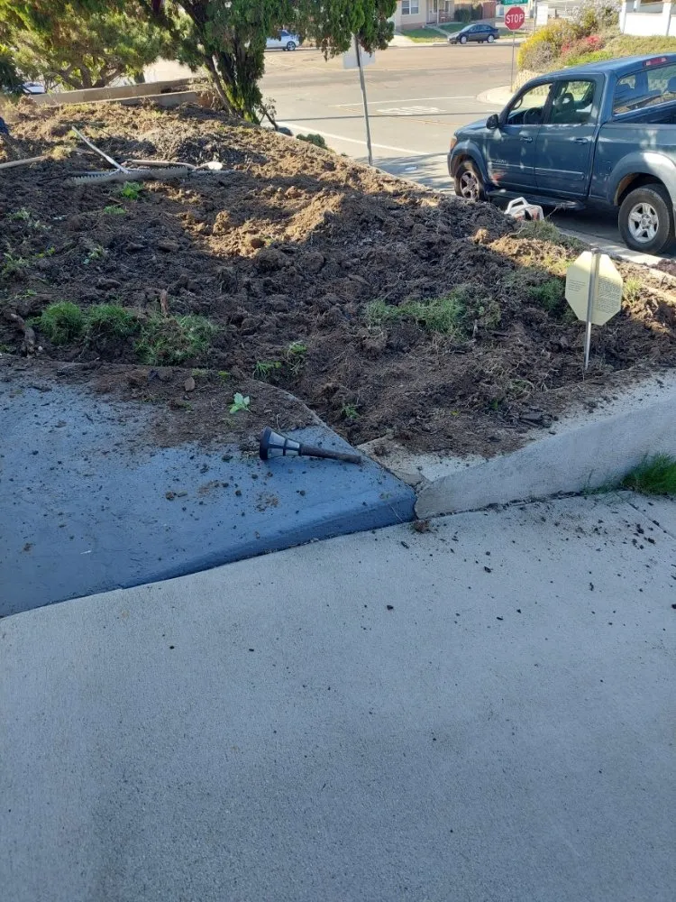 Local yard maintenance experts serving Escondido, CA - Mateo Diego